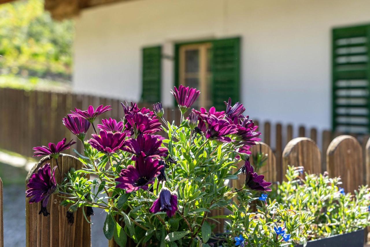 Ferienwohnung Brunjaunhof シェーナ エクステリア 写真